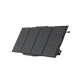 DELTA Max 2000 Solar Generator (PV110W) - EcoFlow